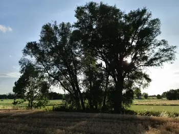 Bellegem, West-Vlaanderen (Belgium)